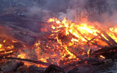 Sunday February 15, 2015