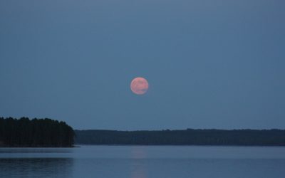 Wednesday July 4, 2012