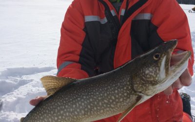 Friday February 20, 2015