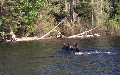 Tuesday June 30, 2015