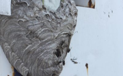 Wednesday August 1, 2012