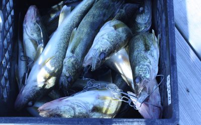 Friday August 24, 2012