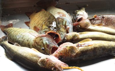 Friday August 31, 2012