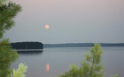 Monday, July 26, 2010