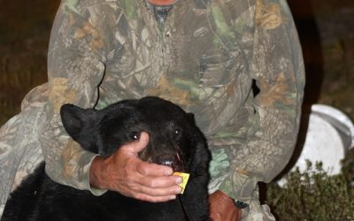 Saturday September 1, 2012