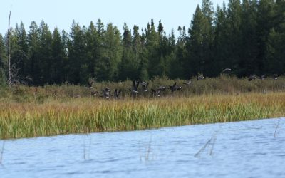 Monday September 17, 2012