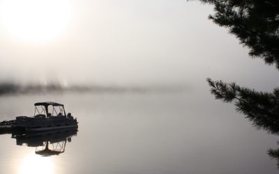 Friday, August 20, 2010