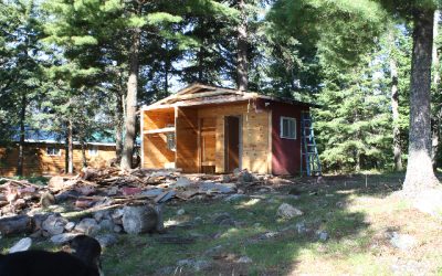 Saturday, August 21, 2010