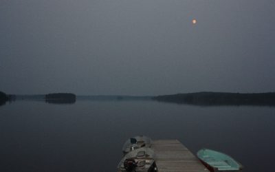 Sunday, August 22, 2010