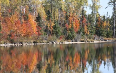 Monday October 1, 2012