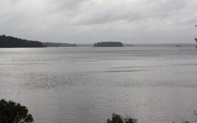 Friday, September 3, 2010