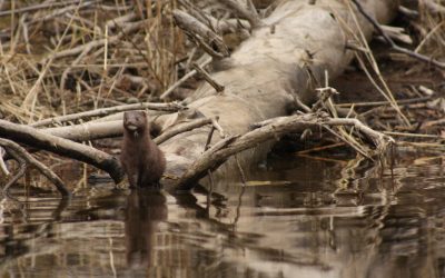 Monday October 22, 2012