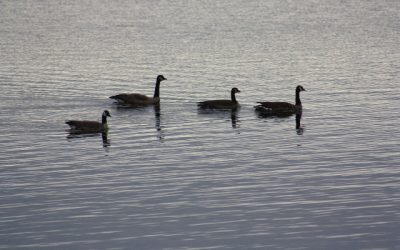 Thursday, September 16, 2010