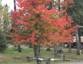 Thursday, September 23, 2010