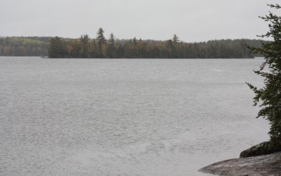 Friday, September 24, 2010