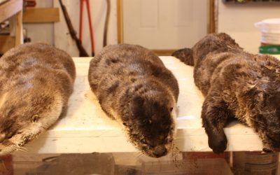 Sunday October 28, 2012