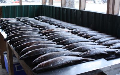 Friday November 2, 2012