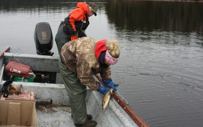 Sunday November 4, 2012