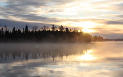 Tuesday, October 19, 20100