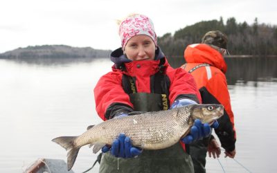 Wednesday November 7, 2012