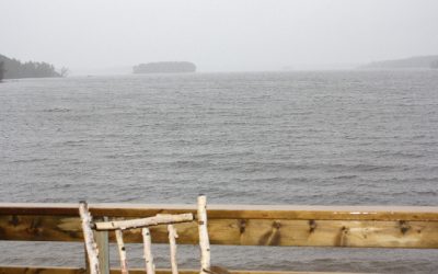 Tuesday, October 26, 2010