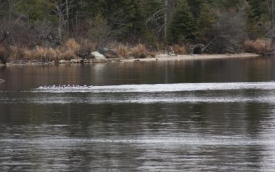 Friday November 9, 2012