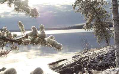 Saturday, October 30, 2010