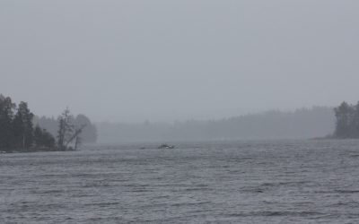 Saturday November 10, 2012