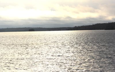 Tuesday November 13, 2012