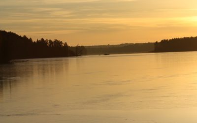 Friday November 16, 2012