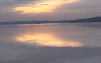 Monday November 19, 2012