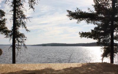 Wednesday, November 10, 2010