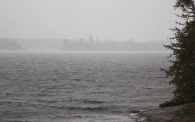 Thursday, November 11, 2010