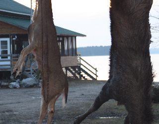 Friday, November 12, 2010