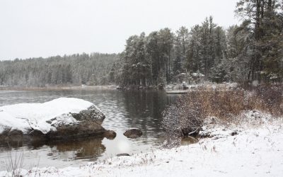 Sunday, November 14, 2010