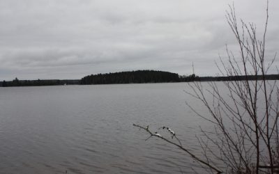 Wednesday, November 17, 2010