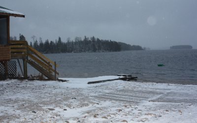 Friday, November 19, 2010