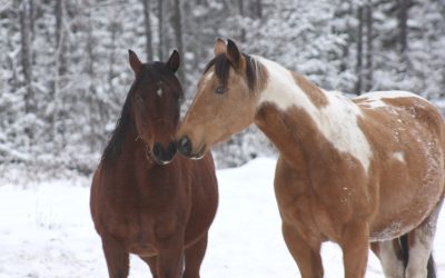 Tuesday November 27, 2012