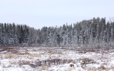 Monday November 26, 2012