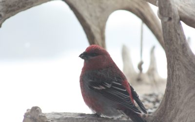 Friday December 7, 2012