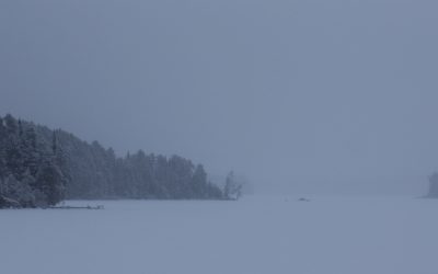 Sunday December 9, 2012