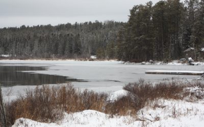 Monday, November 22, 2010