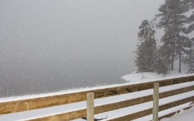 Tuesday, November 23, 2010