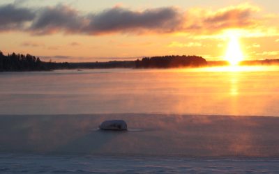 Wednesday, November 24, 2010