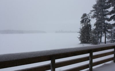 Thursday, November 25, 2010