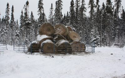 Sunday, November 28, 2010