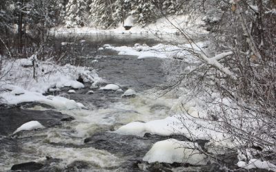 Thursday, December 2, 2010