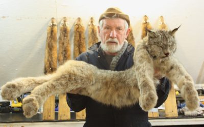 Saturday Deember 15, 2012