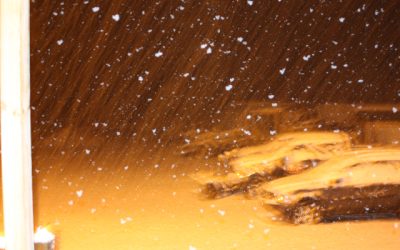 Tuesday, November 30, 2010