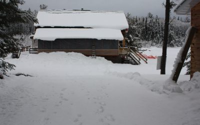 Friday, December 3, 2010